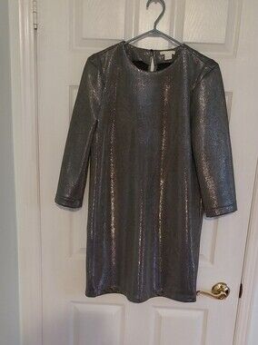 H&M Silver Metallic Party Dress with Three-Quarter Sleeves